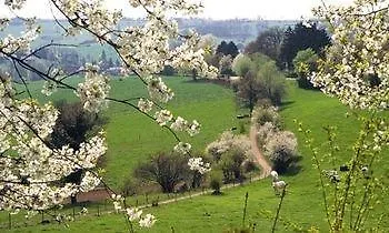 Alberts 4* Heijenrath